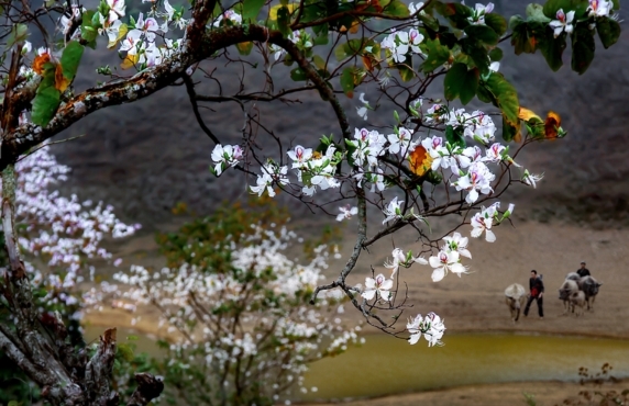 Que Faire à Dien Bien Quand Il Pleut ? 