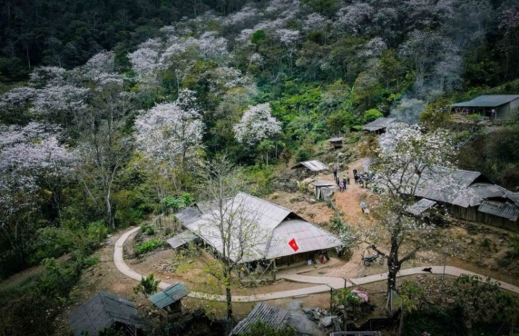 Que Faire Et Voir à Dien Bien En Famille ? 
