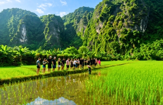 Que Faire Au Vietnam ? Itinéraire Agricole Et Culturel En 2 Semaines