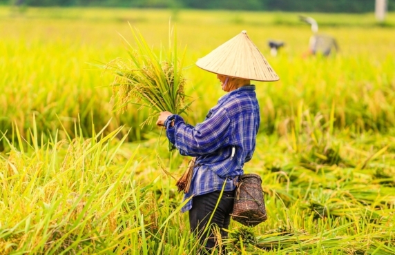 Avis Sur La Visite Mai Chau En Novembre - Que Faire Et Que Voir ?