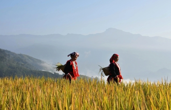 Pourquoi Choisir Un Voyage Responsable Au Vietnam ?