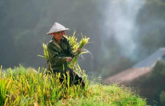 Carte Touristique De Pu Luong - Top Activités Et Sites à Visiter