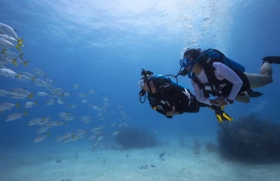Quel Est Le Prix Du Snorkeling Au Centre Vietnam ?