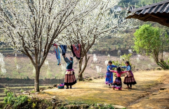 Où Partir En Janvier ? Où Partir Au Soleil En Janvier ? 