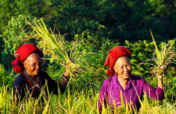 Que Faire Au Vietnam En Septembre? Météo, Infos Pratiques, Sites à Découvrir, Questions-réponses