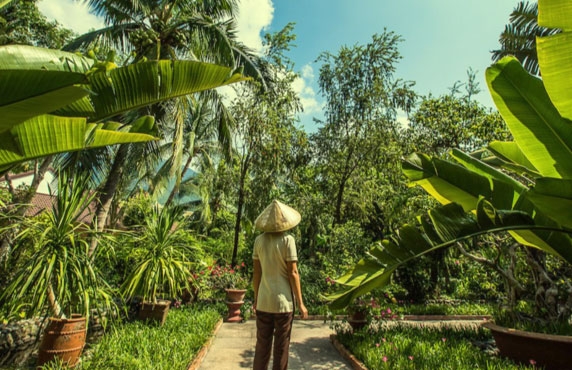 Quel Mois Est Le Meilleur Pour Une Visite Au Vietnam ? Quel Mois Est Le Meilleur Pour Une Visite Au Vietnam ?