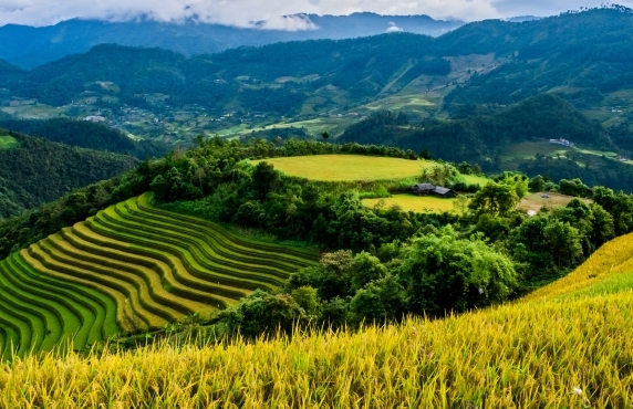 Que Faire Au Vietnam En 10 Jours ? Le Meilleur Itinéraire De Voyage Sur Mesure Que Faire Au Vietnam En 10 Jours ? Le Meilleur Itinéraire De Voyage Sur Mesure