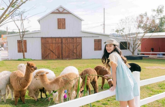 Week-end à La Ferme Vietnam - Voyage Agricole Au Vietnam