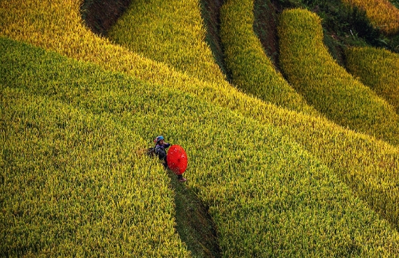 Voyage Yen Bai Lao Cai Lai Chau 6 Jours - Conseils De Voyage De Hubert Voyage Yen Bai Lao Cai Lai Chau 6 Jours - Conseils De Voyage De Hubert