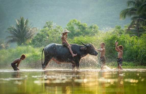 Nom De Famille Vietnam : Guide Pour Découvrir La Culture Du Vietnam Nom De Famille Vietnam : Guide Pour Découvrir La Culture Du Vietnam