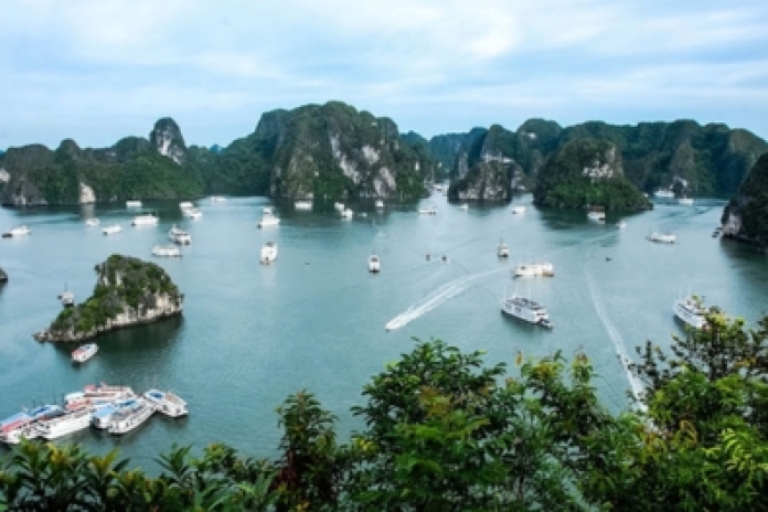 Voyage d'une journée dans la baie d'Halong