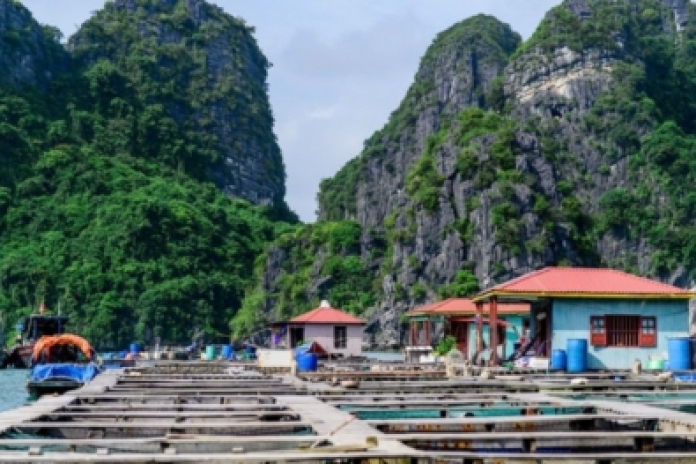 Village de pêcheurs de Vung Vieng – Port international de Ha Long (B,L)