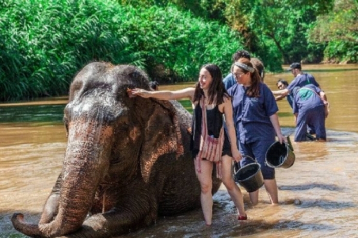 Sanctuaire des éléphants de Pak Beng (B, L, D)