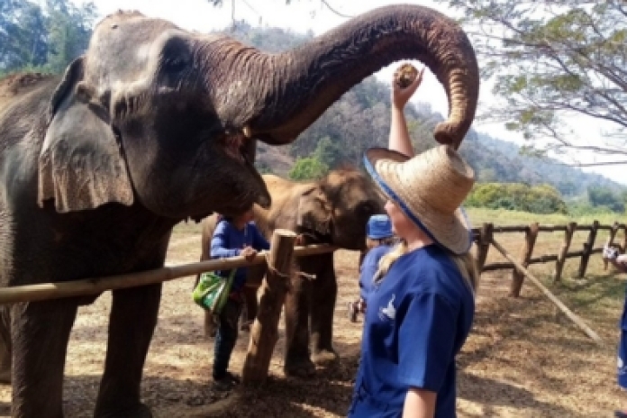 Sanctuaire des éléphants de Pak Beng (B,L,D)