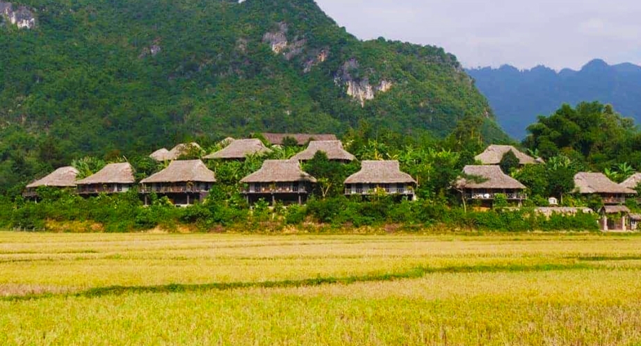 Vallée de Mai Chau (Vietnam)