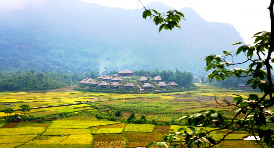 922-20-maichau-vietnam