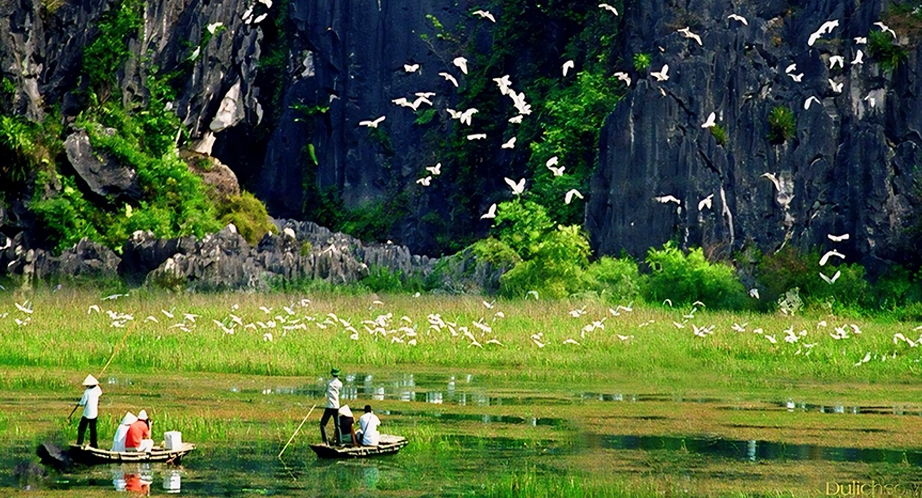 Croisière en barque à Thung Nham (Ninh Binh)