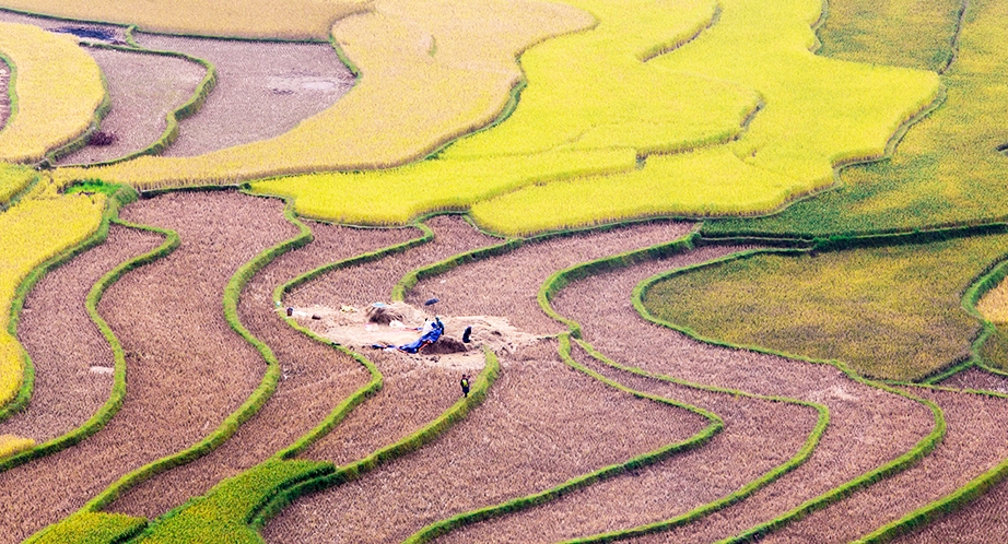 Tú Lệ, Yen Bai