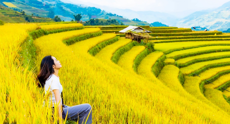 Rizières en terrasses Mù Cang Chải - Yen Bai