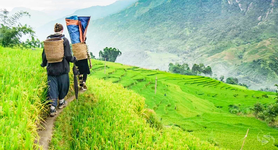 Randonnée aux villages à Sapa traversant rizières en terrasses