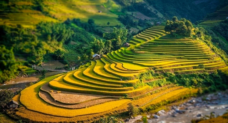 Rizière en terrasses à Cao Bang