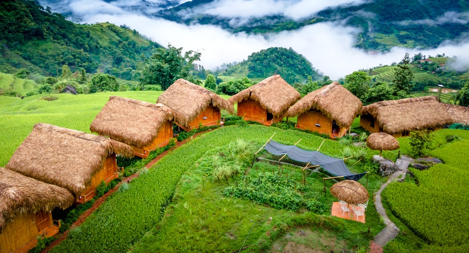 Rizière en terrasses à Hoàng Su Phì Ha Giang