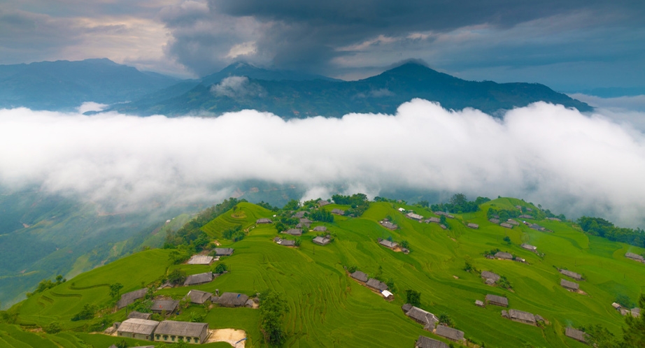 Rizière en terrasses à Hoàng Su Phì Ha Giang