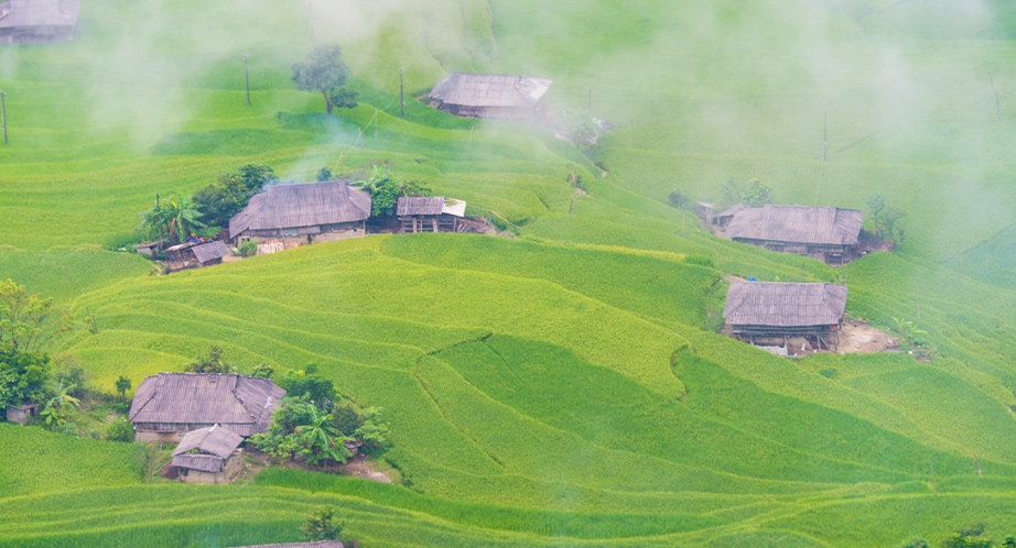 Rizière en terrasses à Hoàng Su Phì Ha Giang