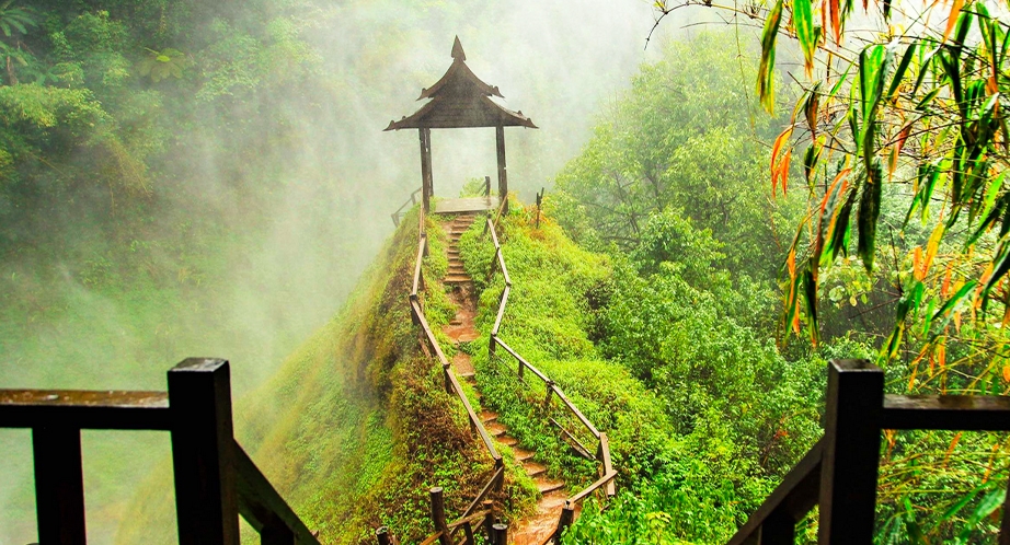 Plateau Bolovens (Laos)