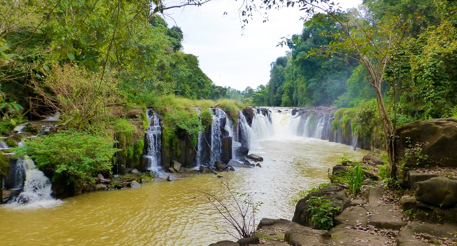 Plateau Bolovens (Laos)