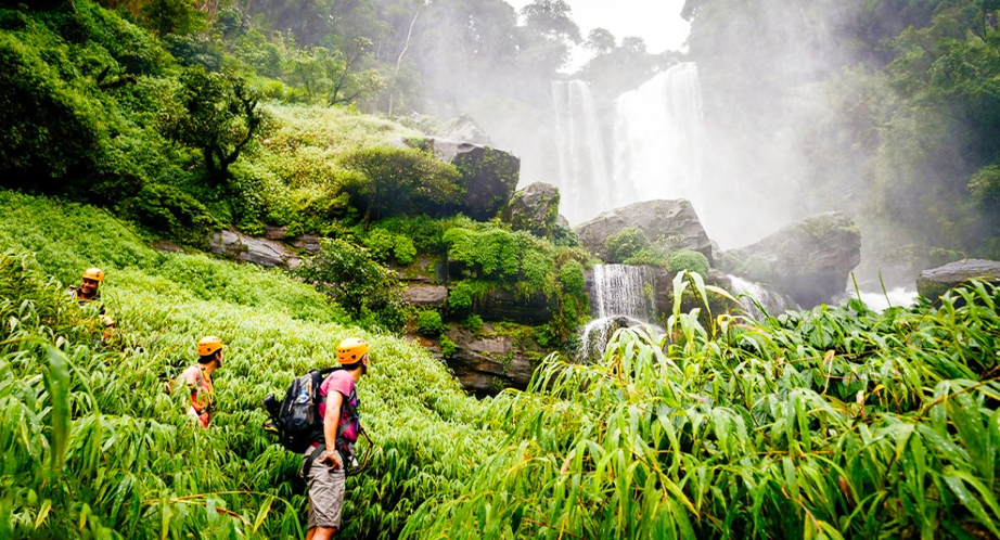 Plateau Bolovens (Laos)