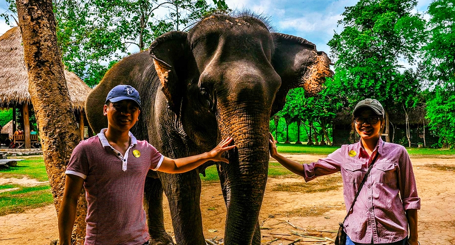 Camps d'éléphant à Luang Prabang