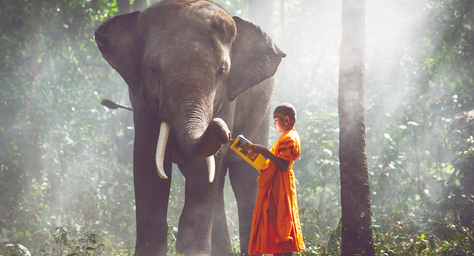 Un Moine et l'éléphant en Thaïlande