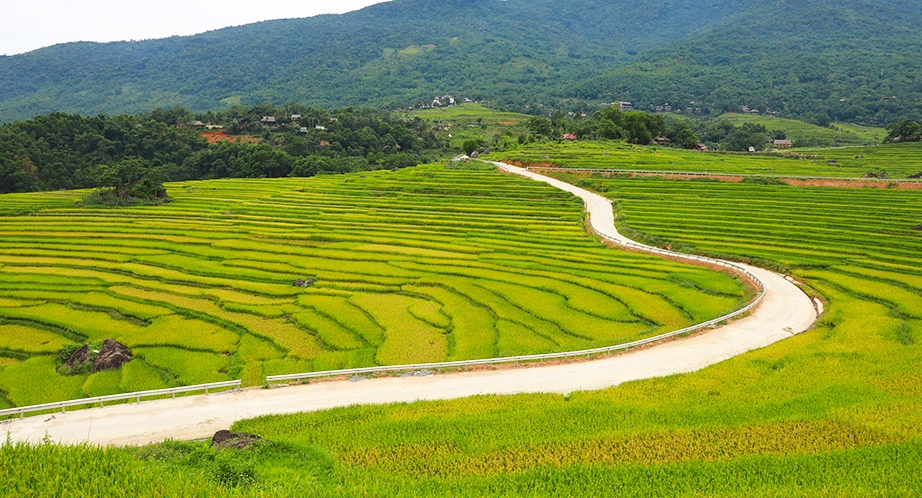 Rizière en terrasses à Pu Luong