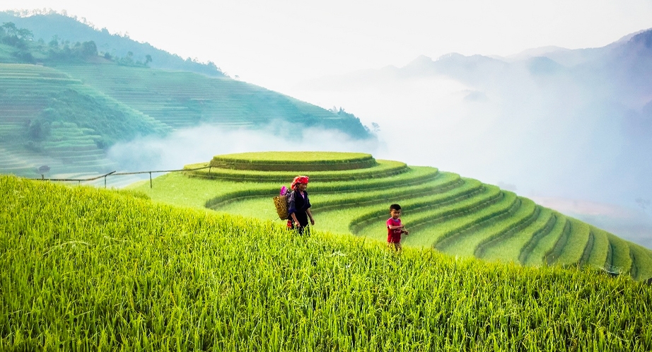 Mu Cang Chai (ses extraordinaires rizières en terrasses)