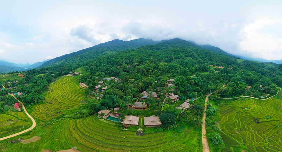 Rizière en terrasses à Pu Luong