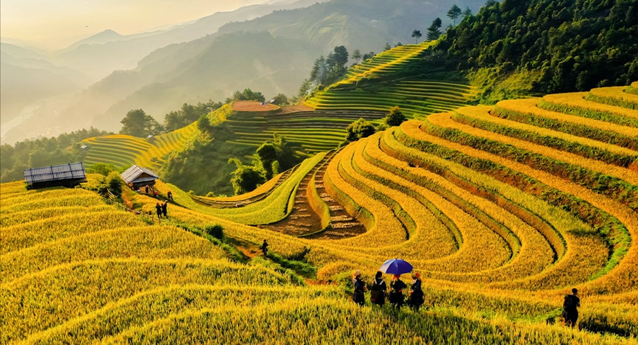 Mu Cang Chai (ses extraordinaires rizières en terrasses)