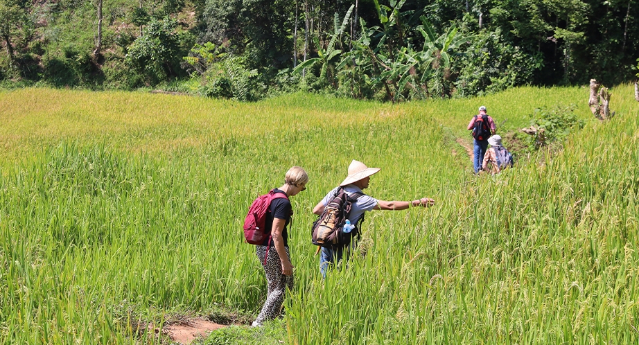 Randonnée dans la vallée de Mai Chau