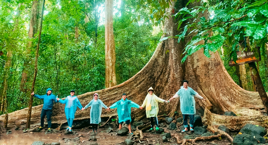 Parc National Nam Cat Tien (Dong Nai)