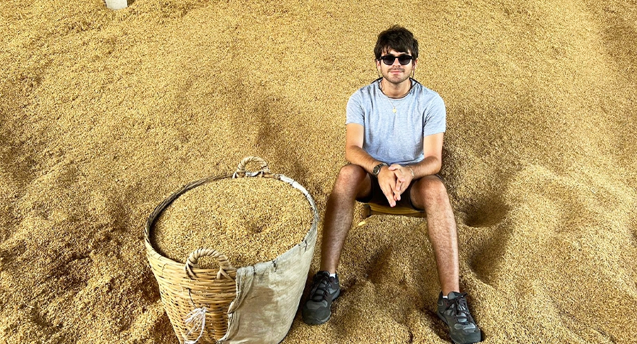 Grenier à riz du Mékong Vietnam