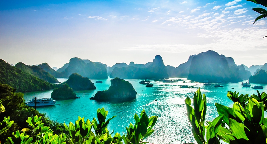 Croisière à la baie d'Halong