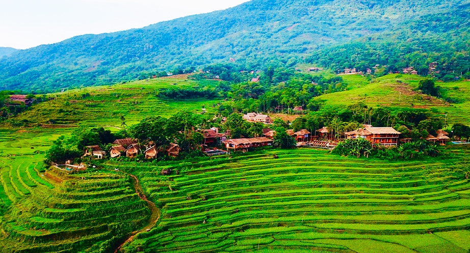 Pu Luong Réserve Naturelle du Vietnam