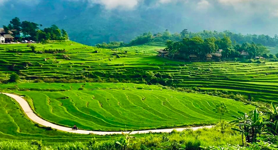 Pu Luong Réserve Naturelle du Vietnam