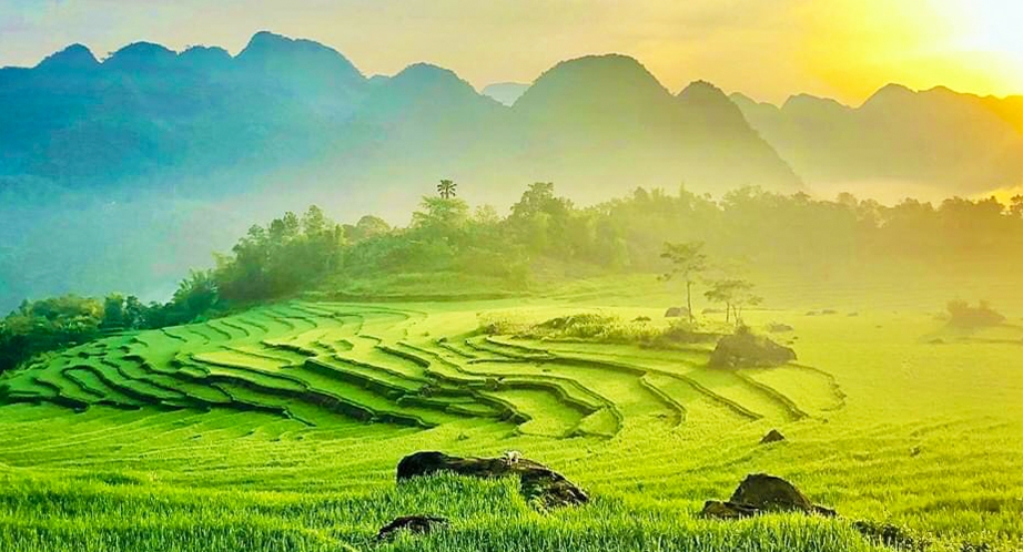 Pu Luong Réserve Naturelle du Vietnam