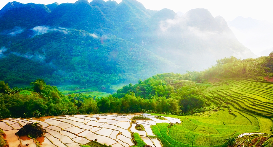 Pu Luong Réserve Naturelle du Vietnam