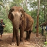 Que Faire à Mondulkiri En 2 Jours Par M. Antoine
