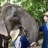 Chiang Rai Ou Chiang Mai: Quelle Destination Choisir Pour Votre Voyage?