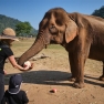 Que Faire à Chiang Rai En Famille? Activités à Chiang Rai Avec Des Enfants