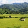 Que Faire à Chiang Rai Thaïlande Quand Il Pleut?
