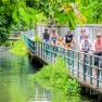 Une Semaine à Bangkok Et Chiang Mai Thaïlande Recommandée Par M. Ryder